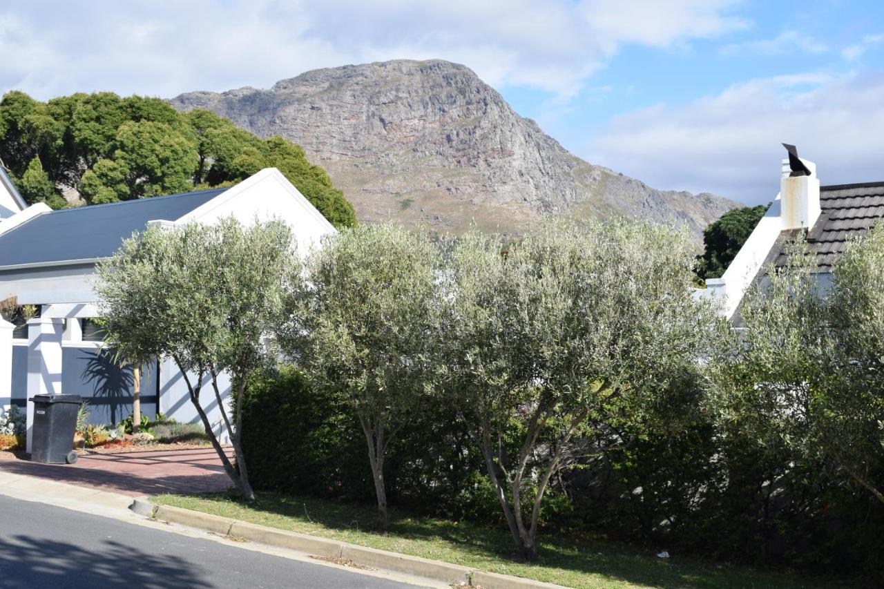 Protea Studio Franschhoek Central Luaran gambar